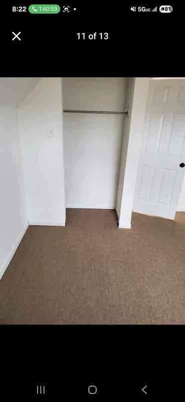 Roommates wanted