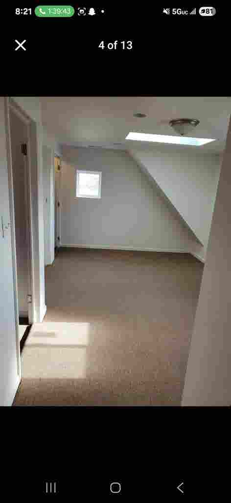Roommates wanted