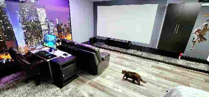 "MAN-CAVE" Studio/Theater
Furnished