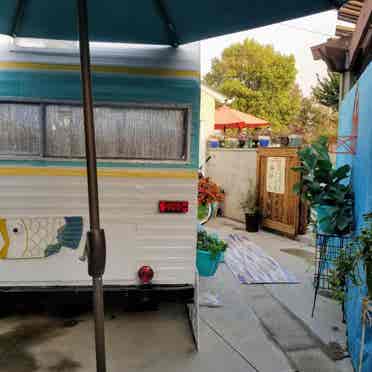 Male 
Lakewood Pool Vintage trailer