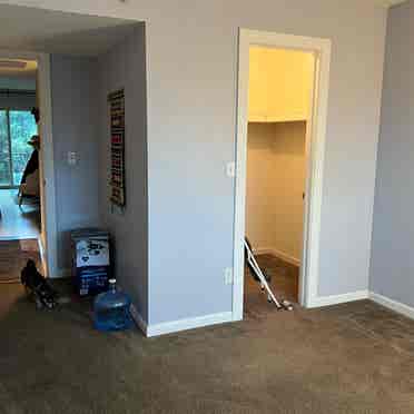 For Rent 1bed/bath Uptown Phoenix