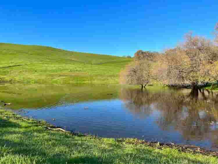 Beautiful Rolling Hills area Room