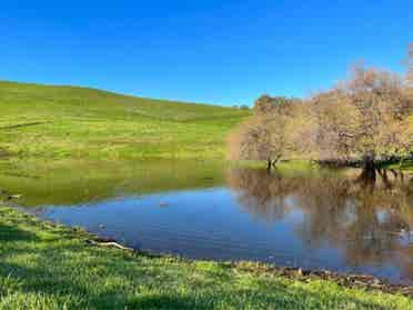 Beautiful Rolling Hills area Room