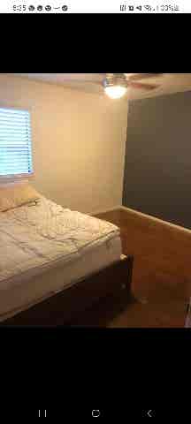 $ one bedroom, shared bathroom,