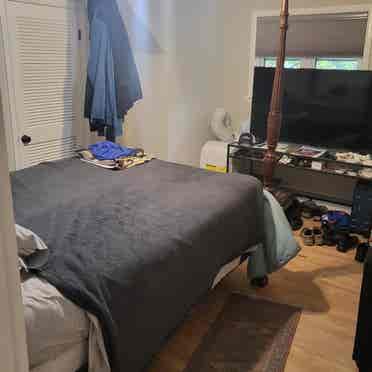 Furnished bedroom available