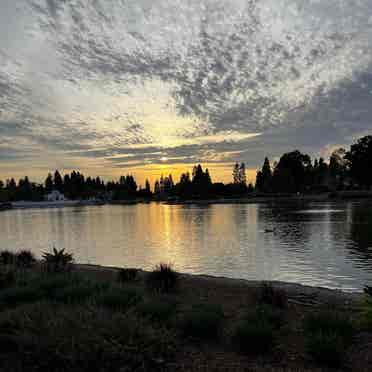 Room by the lake