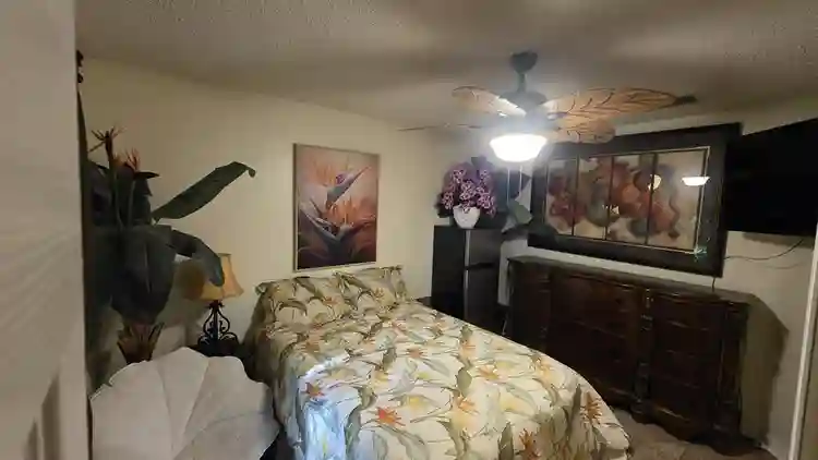 Very nice room for FEMALE ONLY.