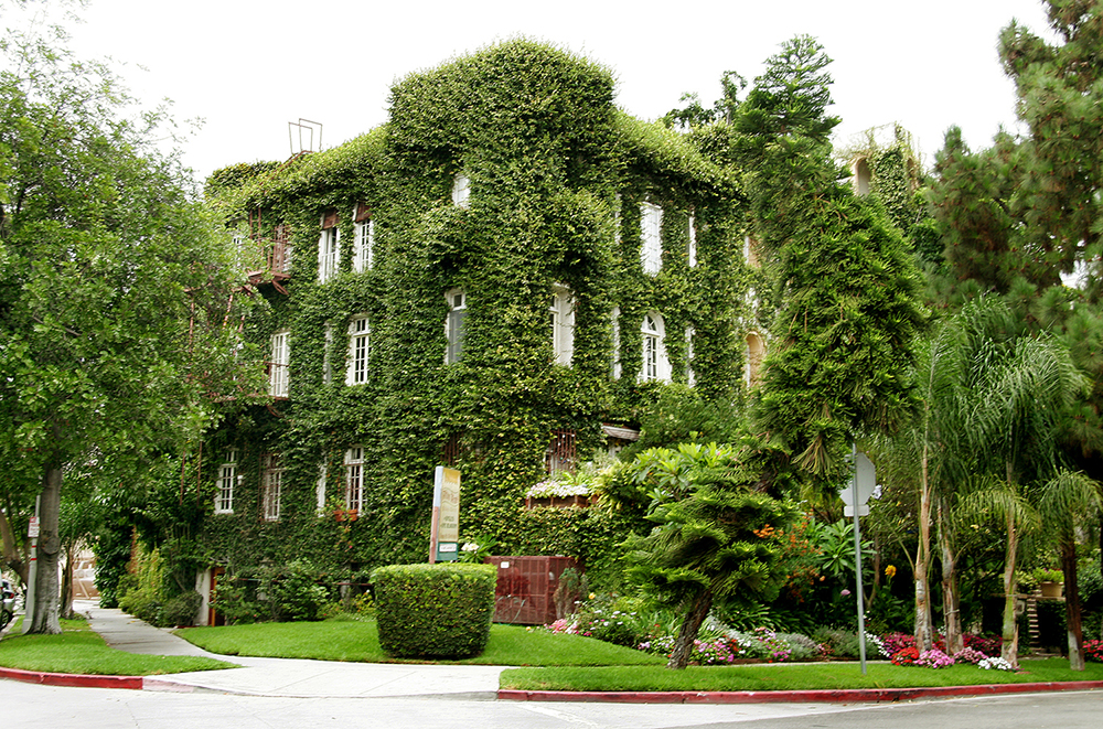 Beautiful Place, w Ivy and Garden