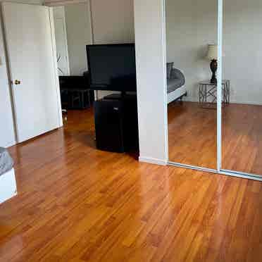 Large private room 4 rent in condo