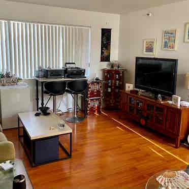 Large private room 4 rent in condo