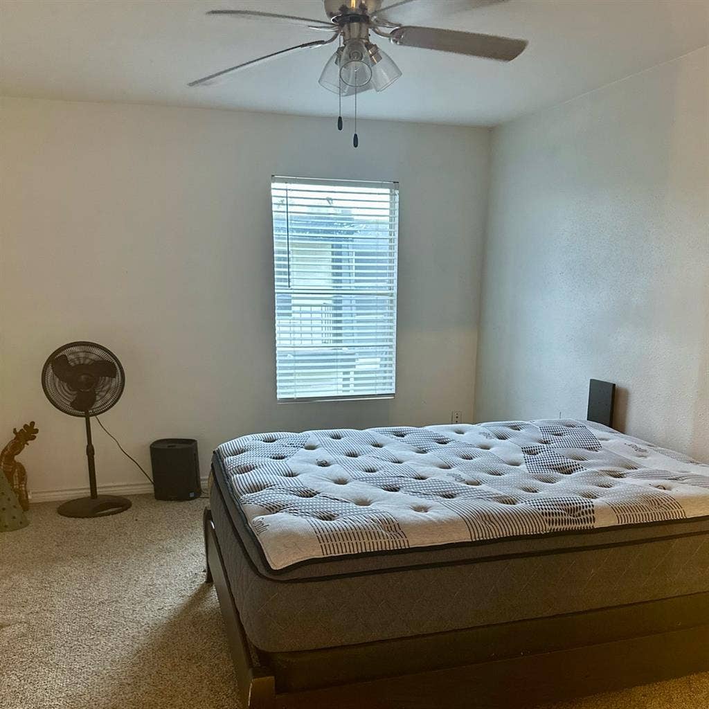 Looking for roommate!