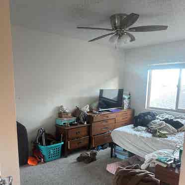 Looking for roommate in Hillcrest