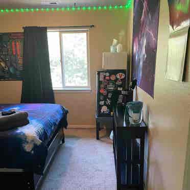 Galaxy themed furnished room