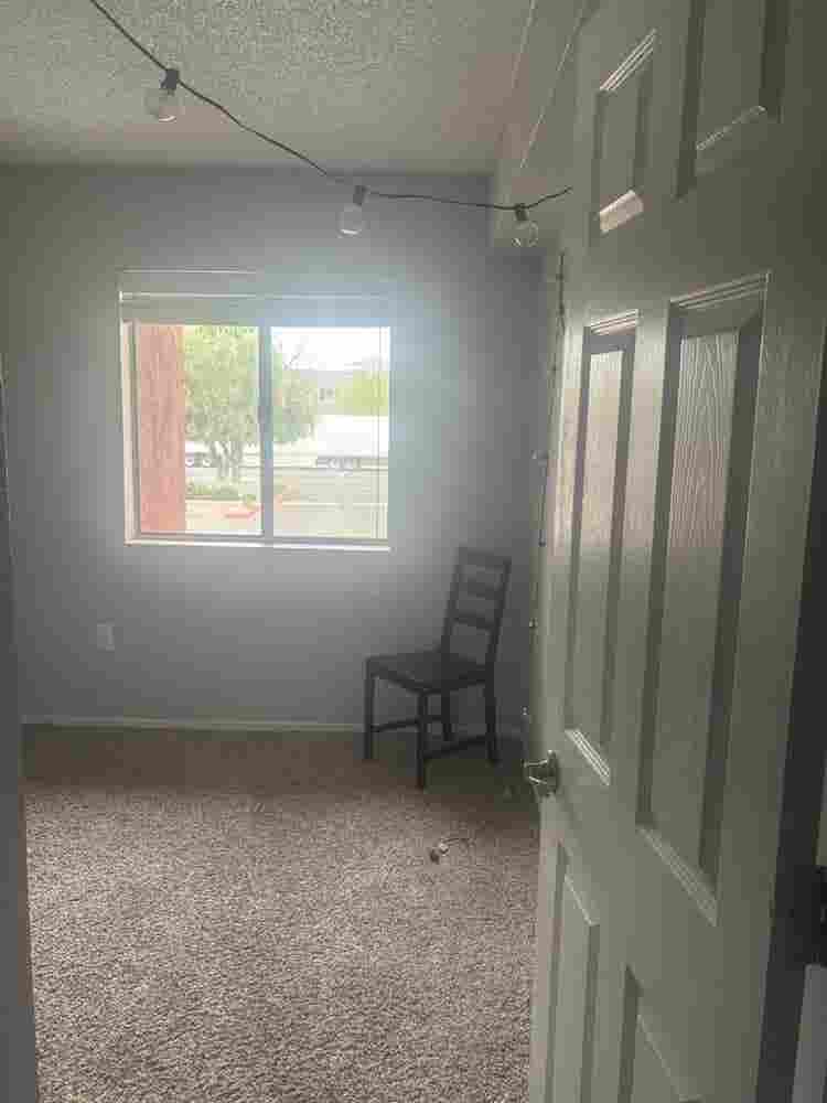 need roommate in tempe