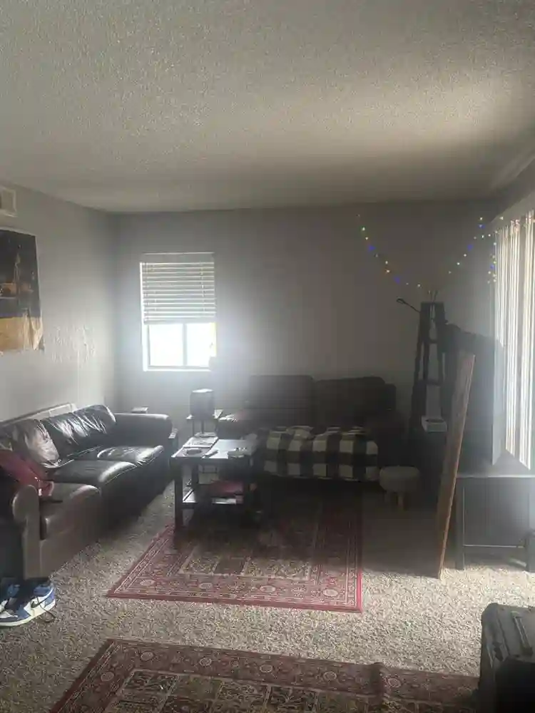 need roommate in tempe