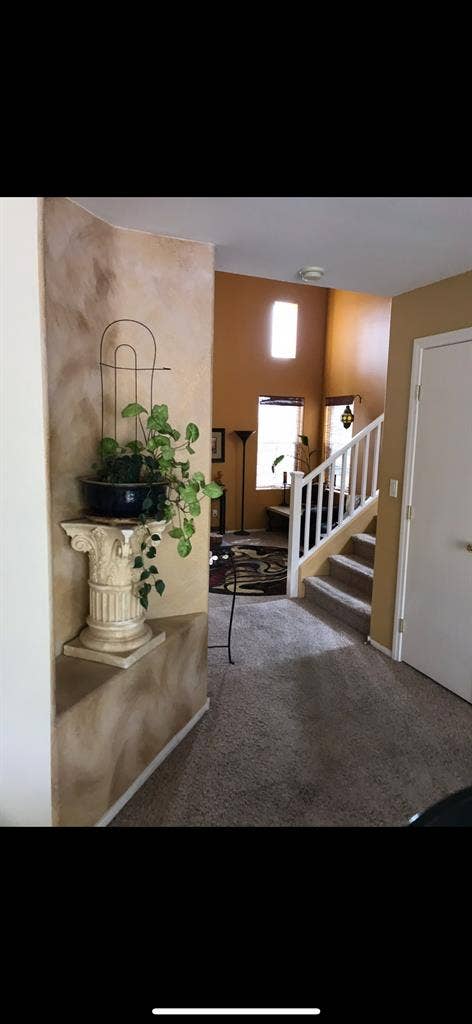 Best Roommates Ever!!! 💗