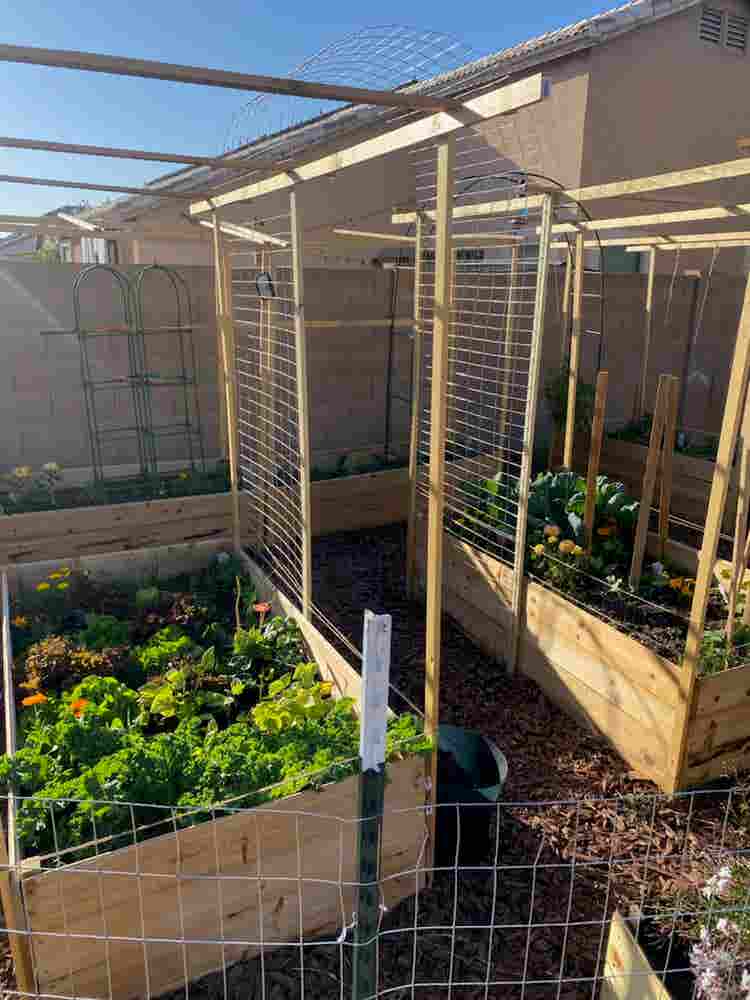 Room available near Queen Creek/STV