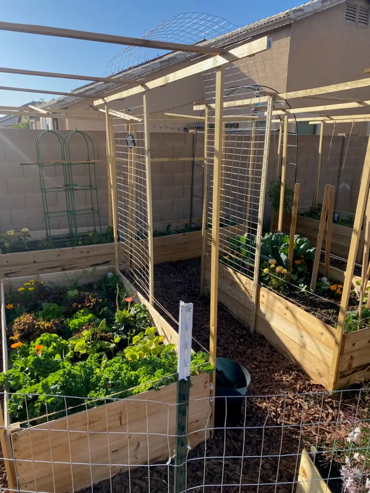 Room available near Queen Creek/STV