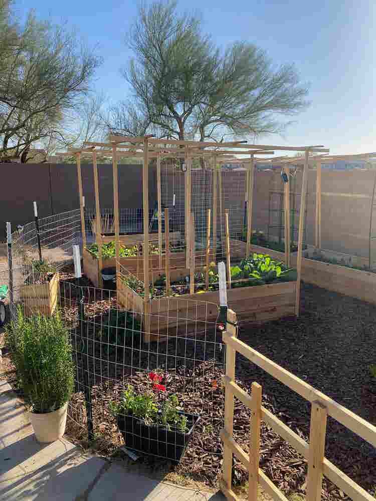 Room available near Queen Creek/STV