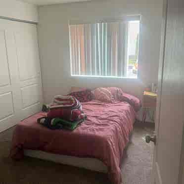 Need a female roommate