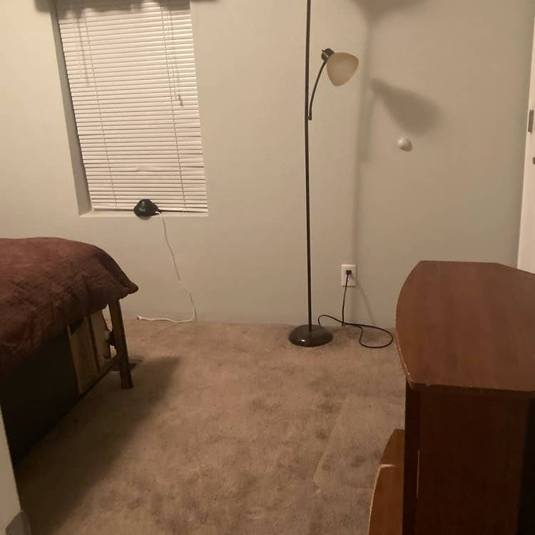 Roommate wanted