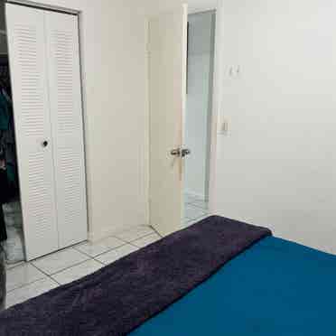 Hallandale roomy needed 1 bedroom