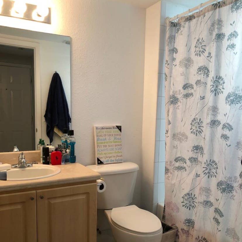 Brickell/Roomate needed /furnished