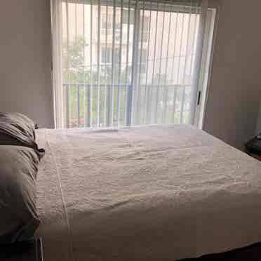 Brickell/Roomate needed /furnished