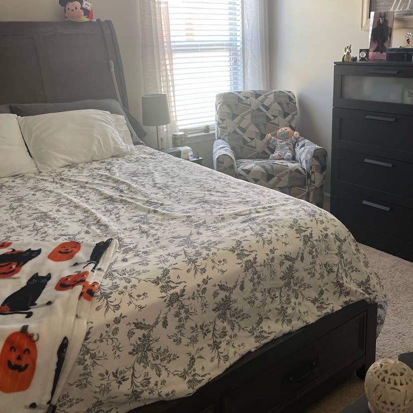 Professional Roommate Wanted