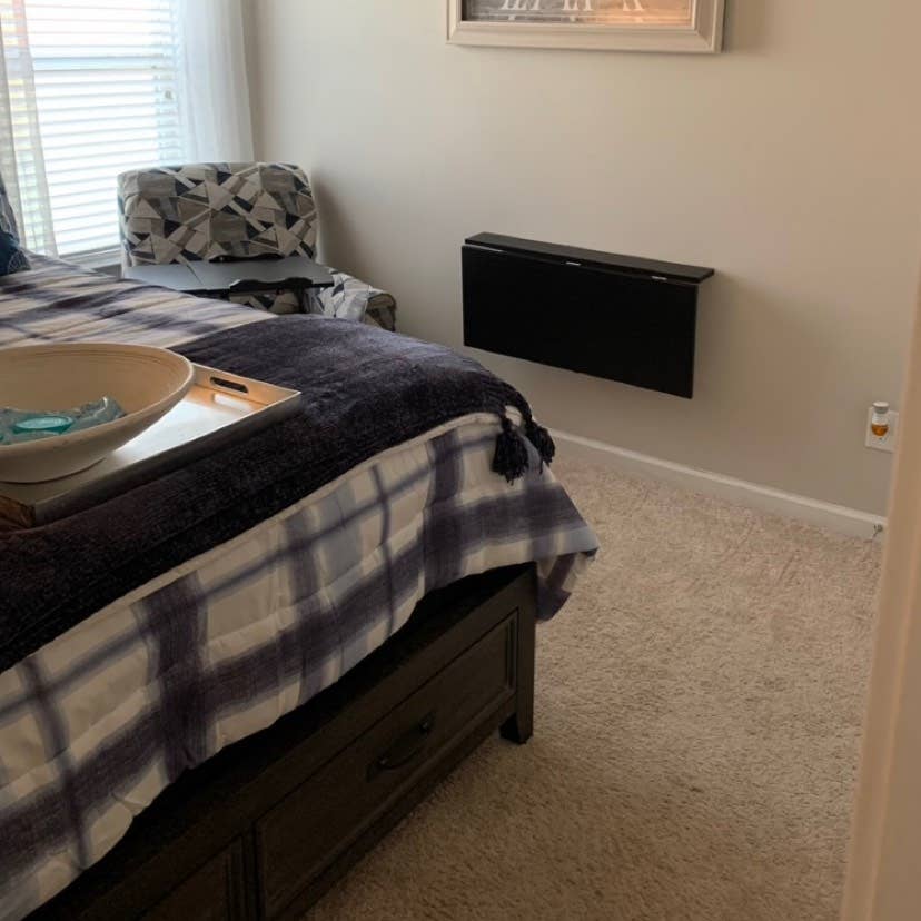 Professional Roommate Wanted