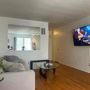 Spacious Open Room in WeHo