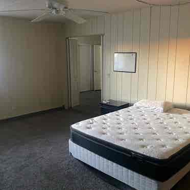 Large room 4 
rent Spring Valley