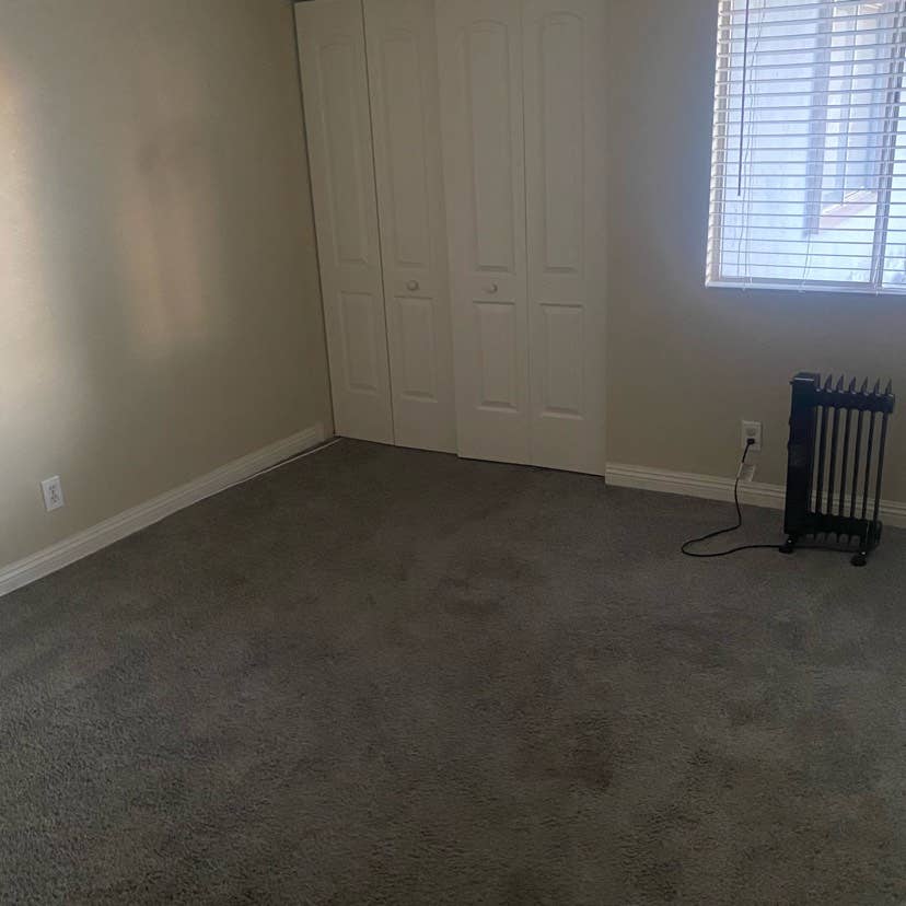 Large room 4 
rent Spring Valley