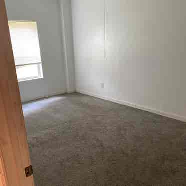 Basement Apartment  bath