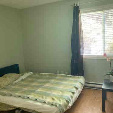 Room in condo - female preferred