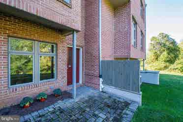 English Basement in NW DC