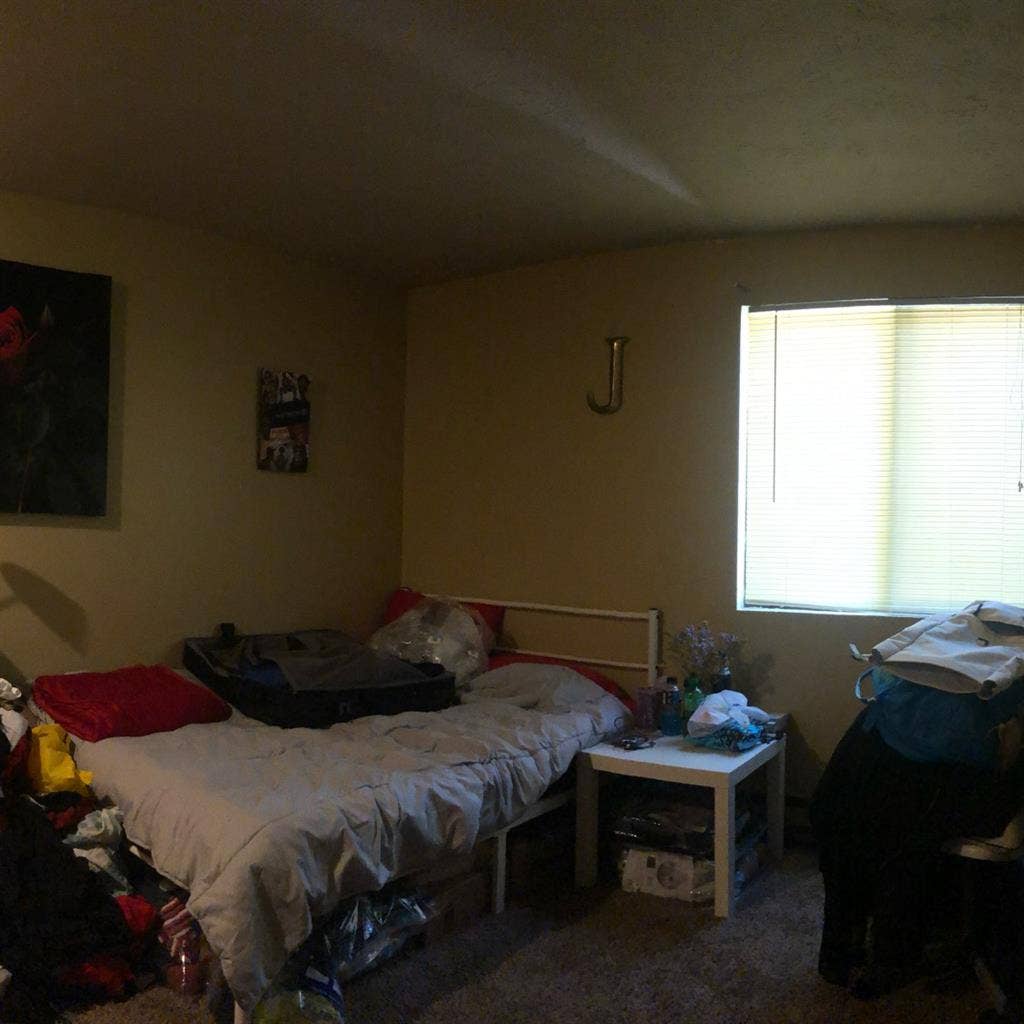 Roommate needed