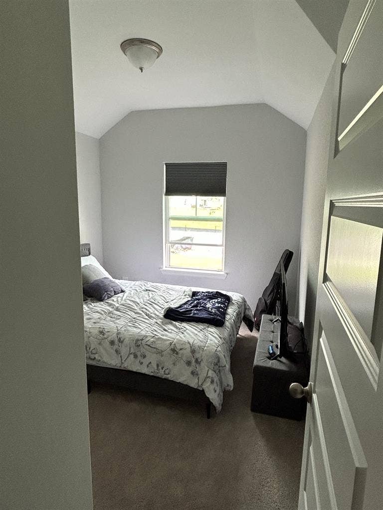 ISO tidy female tenant, no dogs