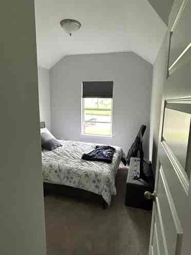 ISO tidy female tenant, no dogs