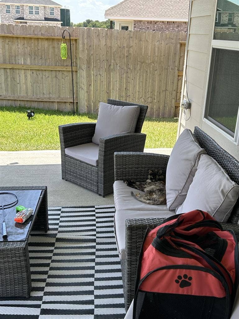 ISO tidy female tenant, no dogs