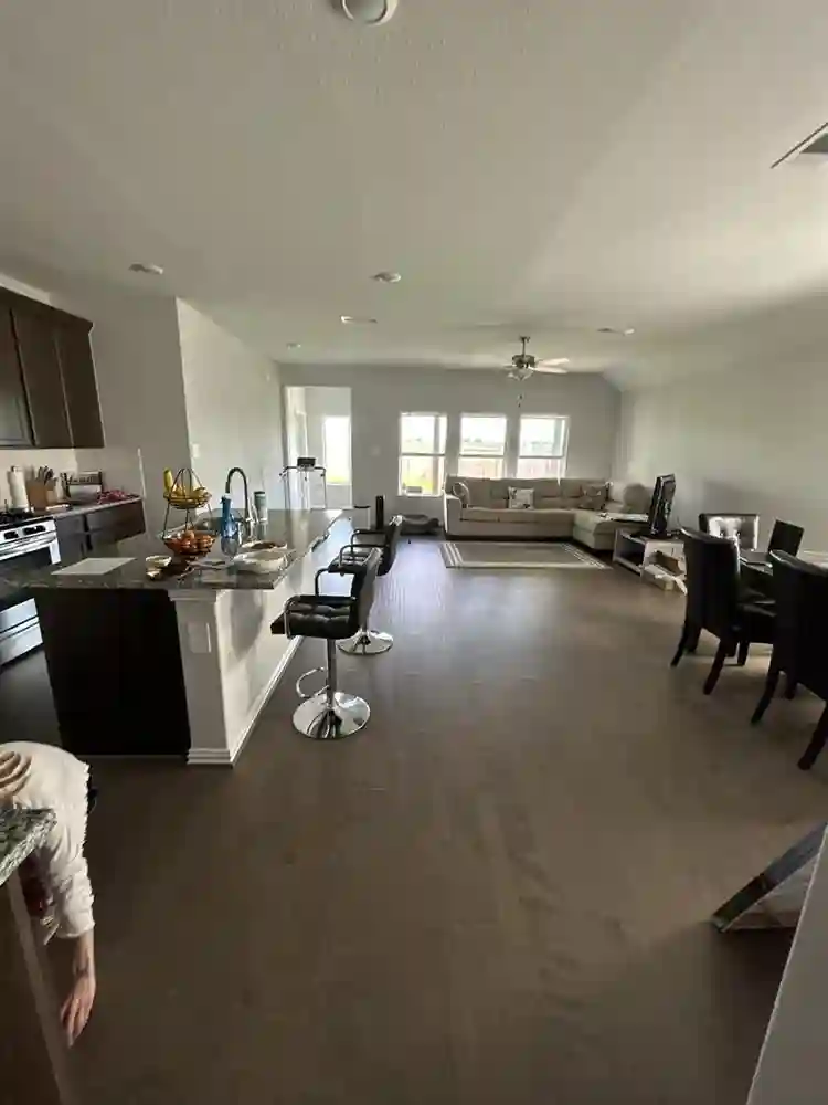 ISO tidy female tenant, no dogs