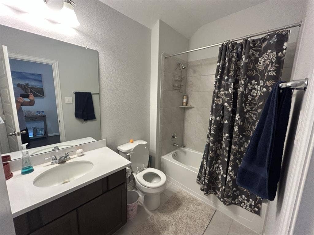 ISO tidy female tenant, no dogs