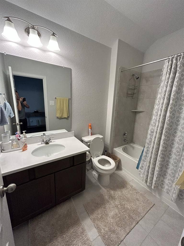 ISO tidy female tenant, no dogs