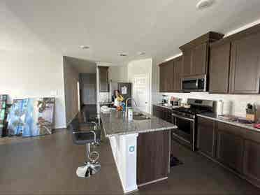 ISO tidy female tenant, no dogs