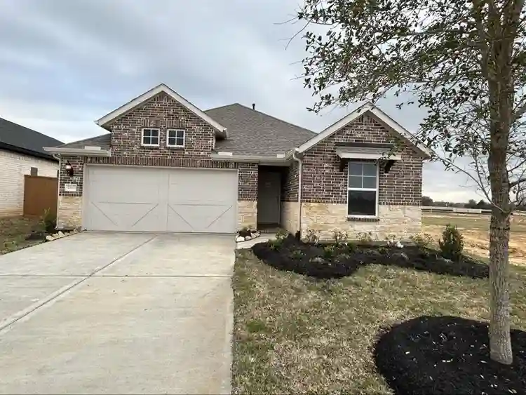 ISO tidy female tenant, no dogs