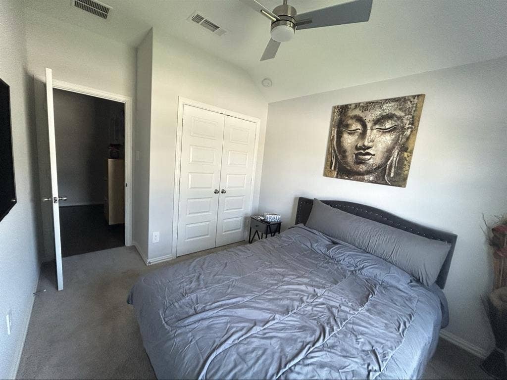 ISO tidy female tenant, no dogs