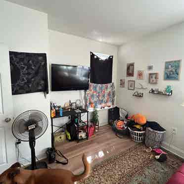 Looking to sublease my room!