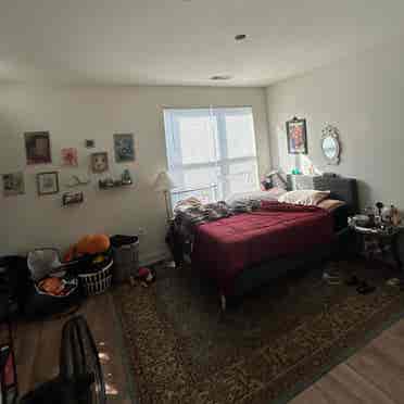 Looking to sublease my room!