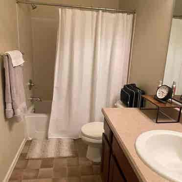 Roommate / furnished room and bath