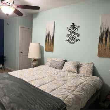 Spacious Furnished Master Bedroom: